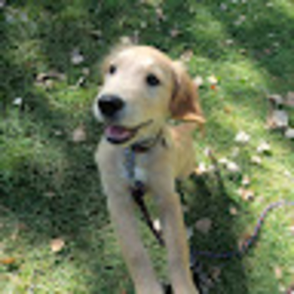 Meet your Posher, Sj